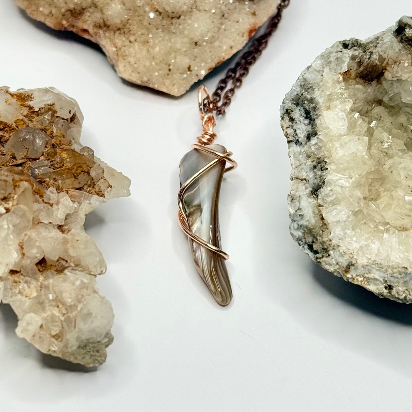 Rose Shell Necklace