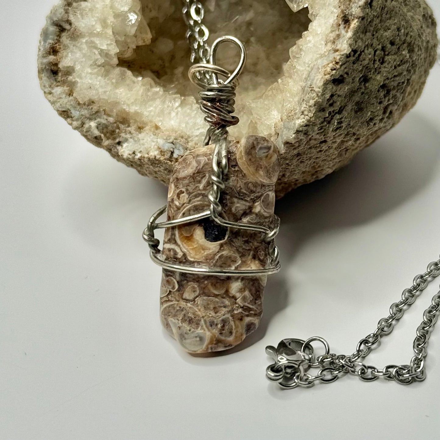 Silver Turritella Agate Necklace