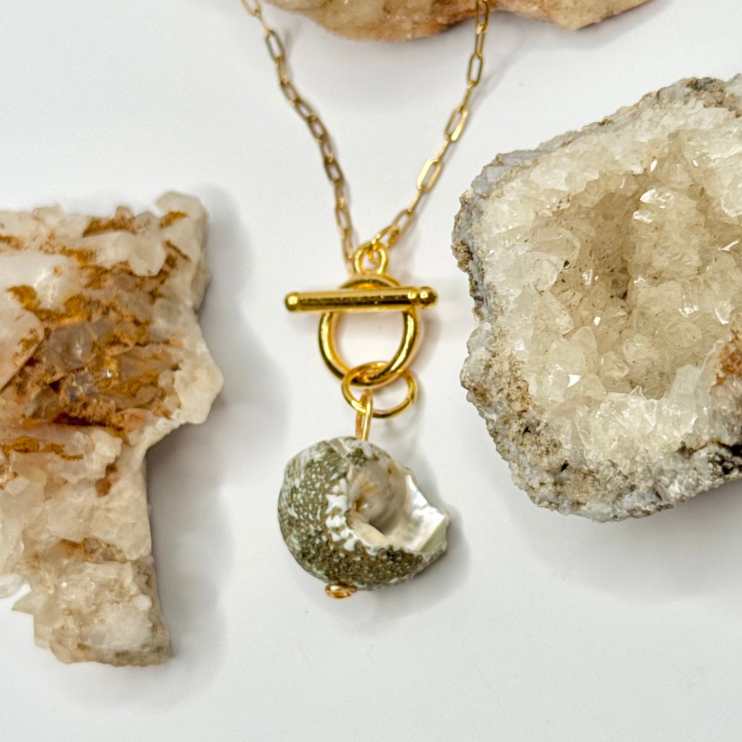 Gold Shell Toggle Necklace