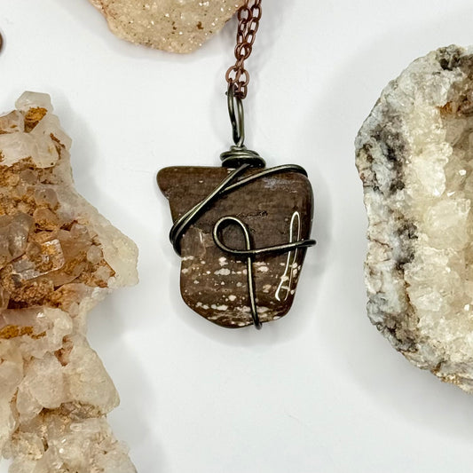Charcoal and Brown Petrified Wood Necklace